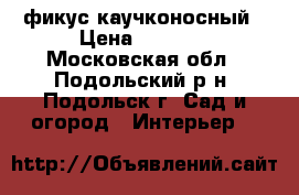 фикус каучконосный › Цена ­ 4 500 - Московская обл., Подольский р-н, Подольск г. Сад и огород » Интерьер   